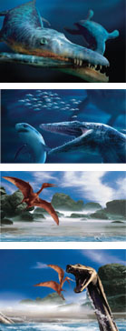 newright.jpg newright.jpg